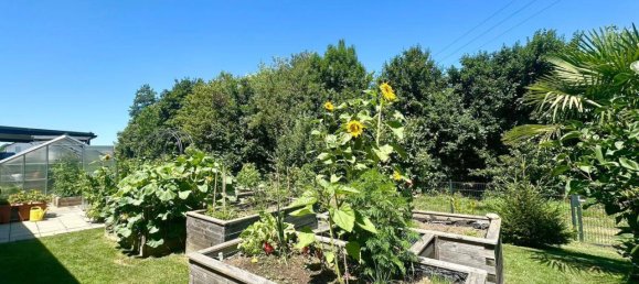 3 rooms House in Bad Loipersdorf, Austria No. 143159 12