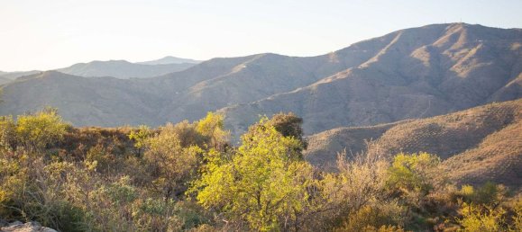 Terrain à Moclinejo, Spain 30000m² No. 56530 11