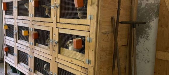 5-salle Duplex à Dresden, Germany No. 272299 18