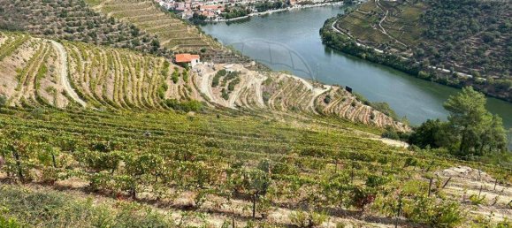 6 Schlafzimmer Haus in Pinhao, Portugal, Nr. 189248 10