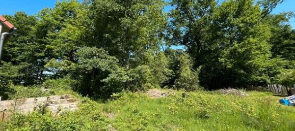 Studio in Couddes, France No. 301870 4