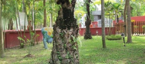 2 bedrooms Cafe / restaurant in Pattaya, Thailand No. 919 16