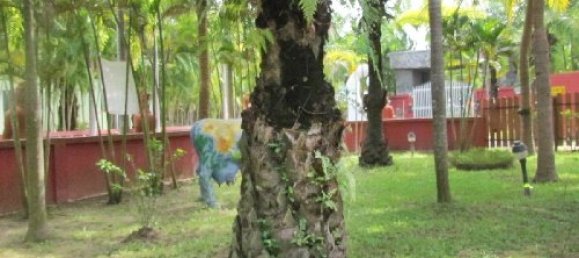 2 bedrooms Cafe / restaurant in Pattaya, Thailand No. 919 15