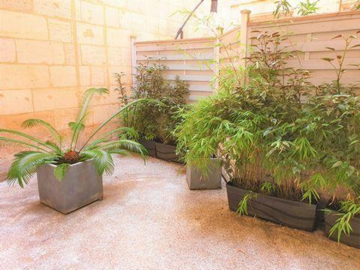 2 bedrooms Condo in Bordeaux, France No. 10538