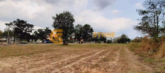 Gewerbliche Immobilie in Chonburi, Thailand, Nr. 1853 4