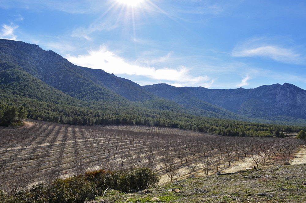 Terreno em Alhama de Murcia, Spain N.º 285521