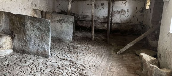 5 rooms Farm in Plauen, Germany No. 45709 13