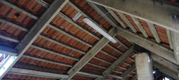 1 غرف نوم شقة في Nordsachsen, Germany رقم 119729 14