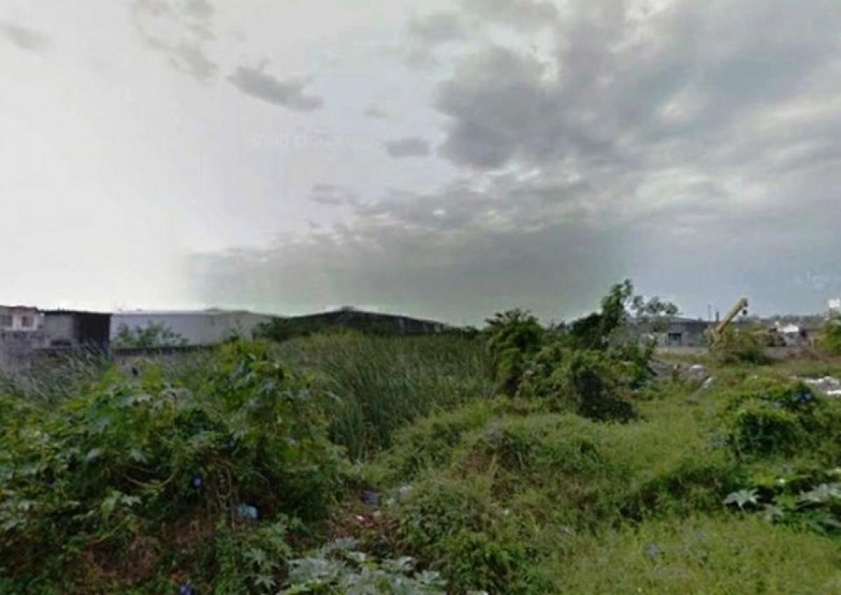  Land in Veracruz, Mexico No. 203167