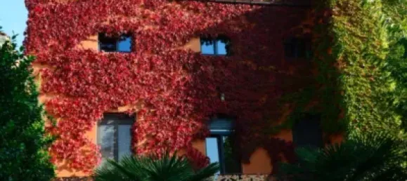 6 bedrooms House in Palafrugell, Spain No. 88525 22