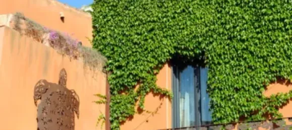 6 bedrooms House in Palafrugell, Spain No. 88525 21