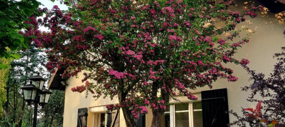 Casa T4 em Saint-Arnoult-en-Yvelines, France N.º 166393 33