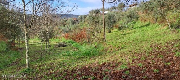 6 bedrooms House in Castelo de Paiva, Portugal No. 171391 29