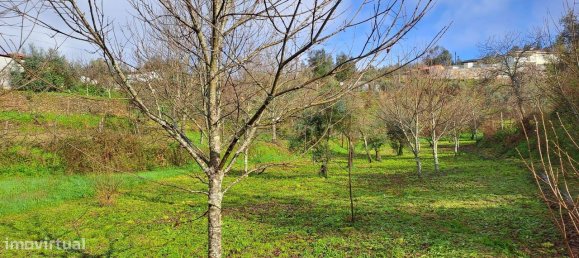 6 bedrooms House in Castelo de Paiva, Portugal No. 171391 27