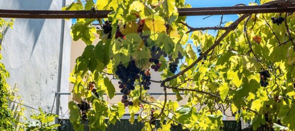 Casa T5 em Coimbra, Portugal N.º 27693 39