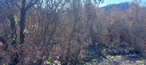 قطعة أرض في Nicolosi, Italy رقم 338551 2