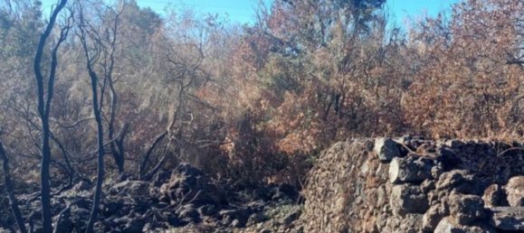 قطعة أرض في Nicolosi, Italy رقم 338551 4