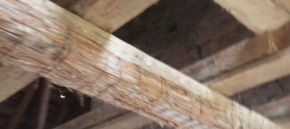 3 chambres Villa à Struth, France No. 157637 25