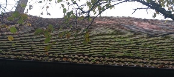 3 chambres Villa à Struth, France No. 157637 18