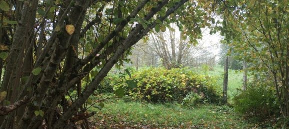 3 chambres Villa à Struth, France No. 157637 17