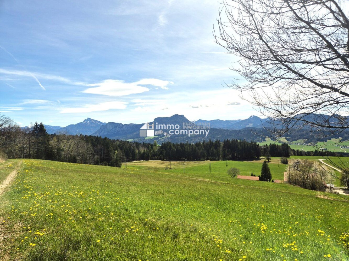  Land in Thalgau, Austria No. 134942