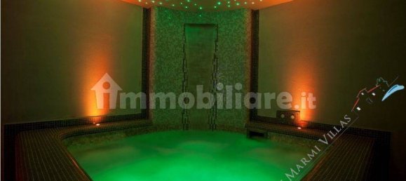 4 bedrooms Villa in Forte dei Marmi, Italy No. 82169 7