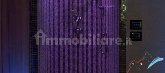 4 bedrooms Villa in Forte dei Marmi, Italy No. 82169 13