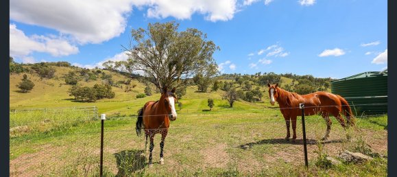 3 chambres Ferme à Halls Creek, Australia No. 199 24
