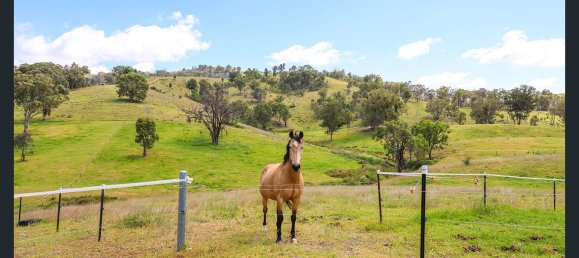 3 chambres Ferme à Halls Creek, Australia No. 199 21