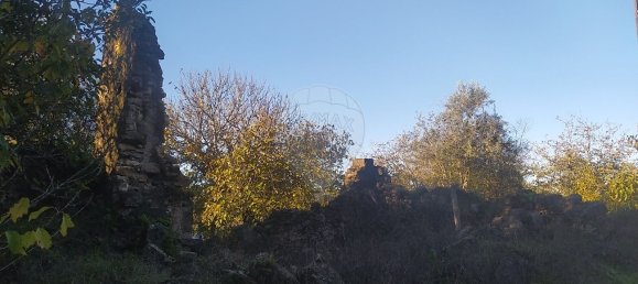 Casa de 1 dormitorio en Alvaiazere, Portugal No. 21631 4