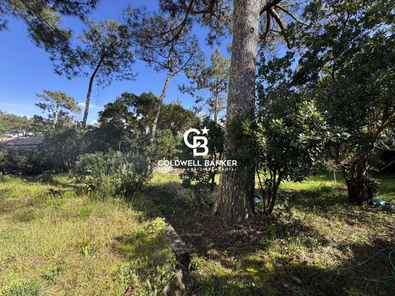 Villa de 3 divisões em Lege-Cap-Ferret, France N.º 347818