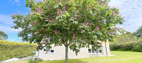 4 Schlafzimmer Haus in Mesia, Spain, Nr. 46145 10