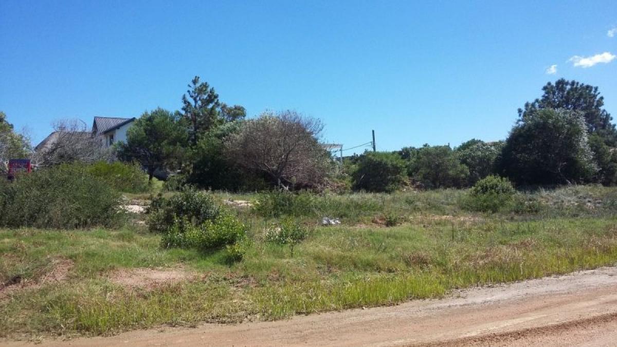 Grundstück in Maldonado, Uruguay, Nr. 14406