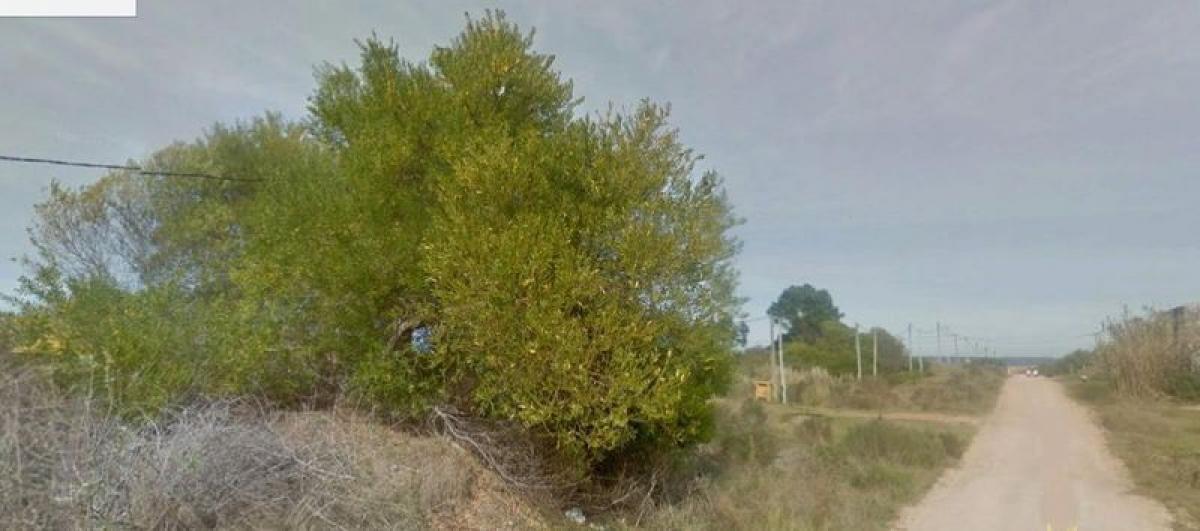 Terreno em Maldonado, Uruguay N.º 15579