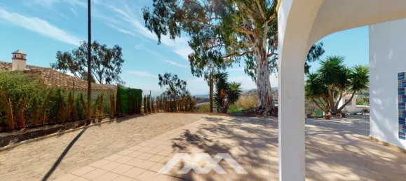 6 bedrooms House in Almayate Bajo, Spain No. 62376 5