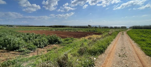 Grundstück in Ormideia, Cyprus 8801m², Nr. 26662 5