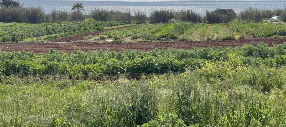 Grundstück in Ormideia, Cyprus 8801m², Nr. 26662 2