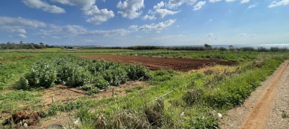 Grundstück in Ormideia, Cyprus 8801m², Nr. 26662 6