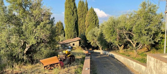 10 chambres Villa à Monte Porzio Catone, Italy No. 77364 13