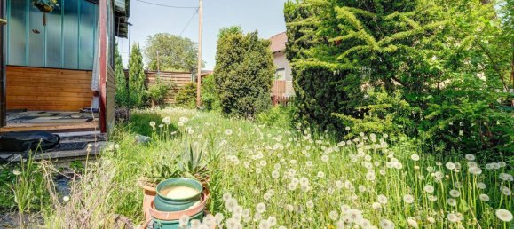 3-salle Maison de ville à Vienna, Austria No. 135609 2