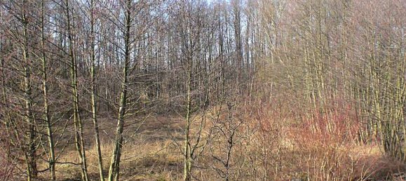 Moradia em banda T3 em Dahme-Spreewald, Germany N.º 238549 17