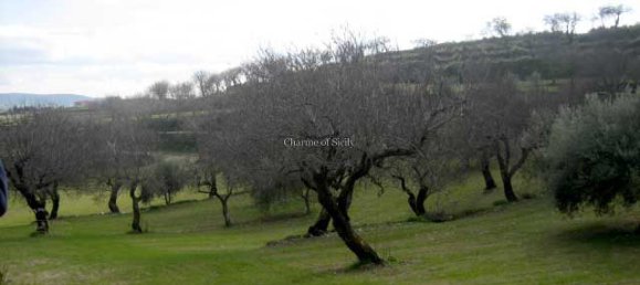 20000m² Land in Giarratana, Italy No. 172149 4