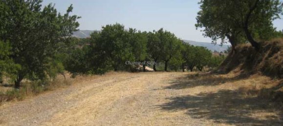 20000m² Land in Giarratana, Italy No. 172149 17