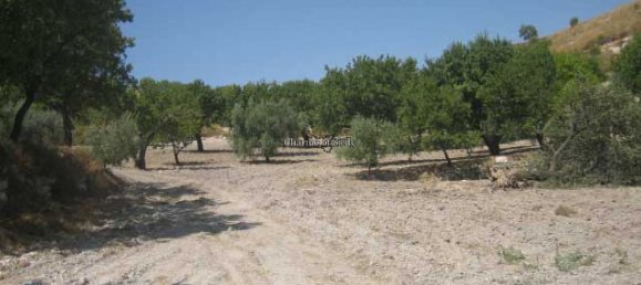 20000m² Land in Giarratana, Italy No. 172149 5