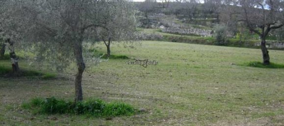 20000m² Land in Giarratana, Italy No. 172149 15