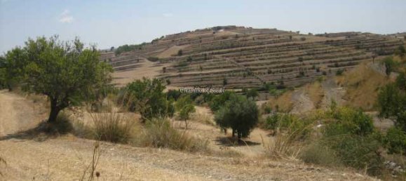 20000m² Land in Giarratana, Italy No. 172149 18