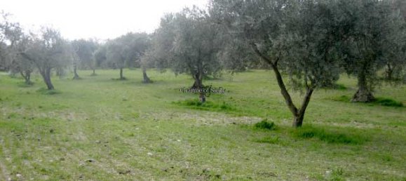 20000m² Land in Giarratana, Italy No. 172149 19