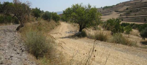 20000m² Land in Giarratana, Italy No. 172149 16