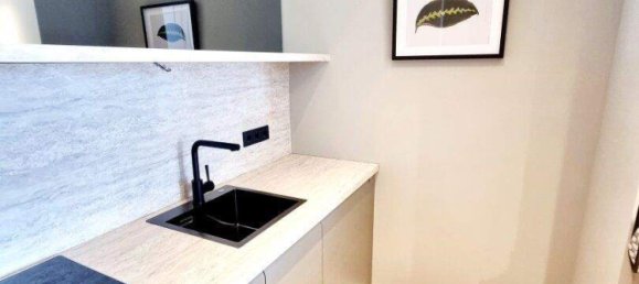 1-Zimmer Gewerbliche Immobilie in Rudolfsheim-Funfhaus, Austria, Nr. 189369 4