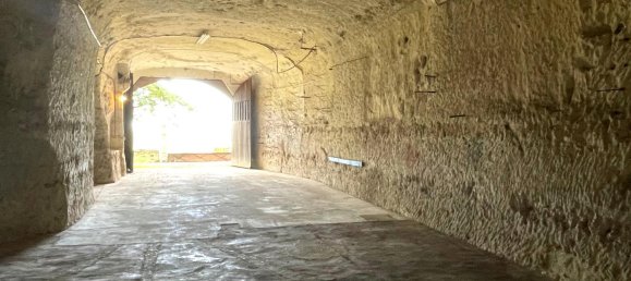 Дом с 4 спальнями в Вийявар, Франция № 244617 32